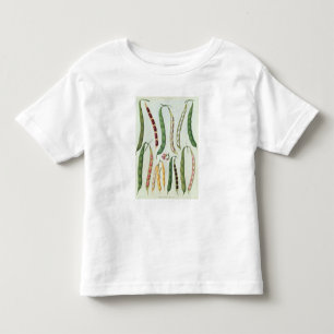 Bonen Kinder Shirts