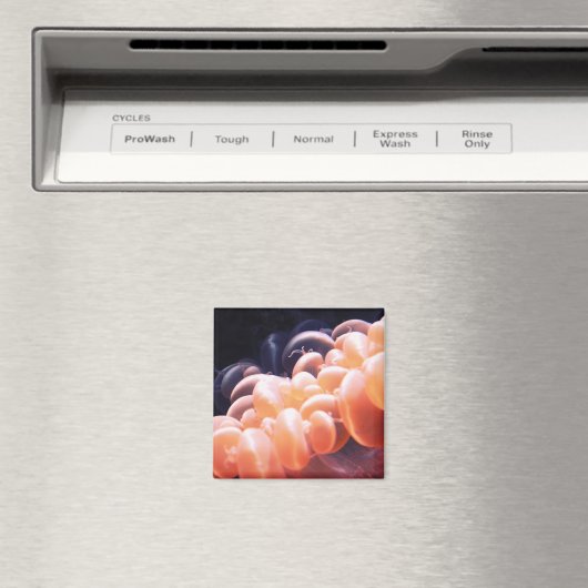 bonen litnd 8x8 magneet (Insitu (Vaatwasser))