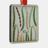 Bonen Metalen Ornament (Rechts)