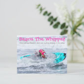 Bonen Surfdog Briefkaart (Staand voorkant)