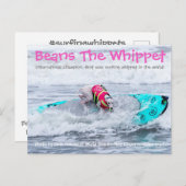 Bonen Surfdog Briefkaart (Voorkant / Achterkant)