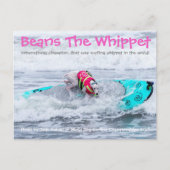 Bonen Surfdog Briefkaart (Voorkant)