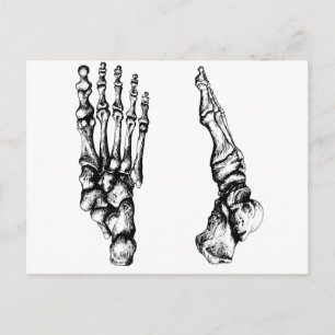Bones of the human foor. briefkaart