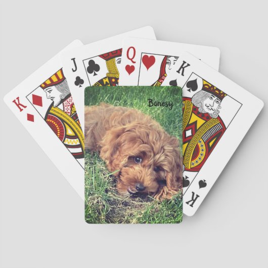 Bonesy speelkaarten (Achterkant)