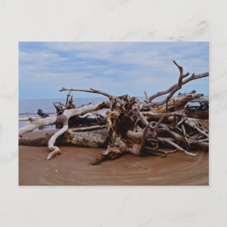 Boneyard Beach Briefkaart