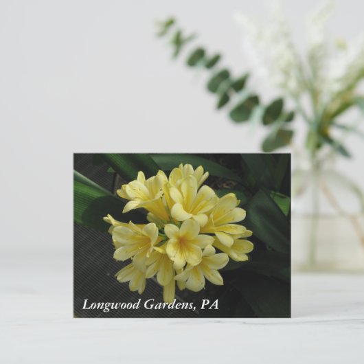 Bonghouten tuinen, PA Briefkaart (Staand voorkant)