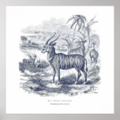 Bongo Antelope Premium Canvas (gloss) Poster (Voorkant)