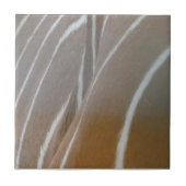 Bongo Antelope Skin Pattern Keramische Tegel Tegeltje (Voorkant)