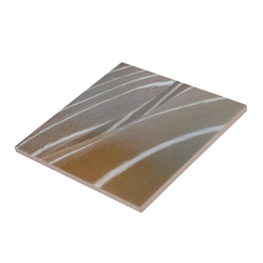 Bongo Antelope Skin Pattern Keramische Tegel Tegeltje (Zijkant)