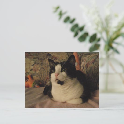 BONGO BRIEFKAART (Staand voorkant)