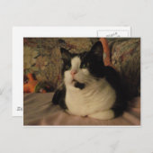 BONGO BRIEFKAART (Voorkant / Achterkant)