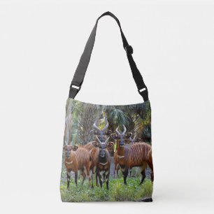 Bongo Crossbody Bag Tas