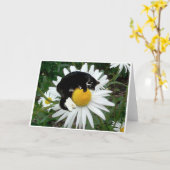 Bongo Daisy Kaart (Gele Bloem)