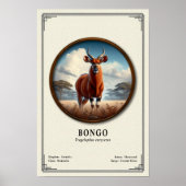 Bongo Zoologie Serie Poster (Voorkant)