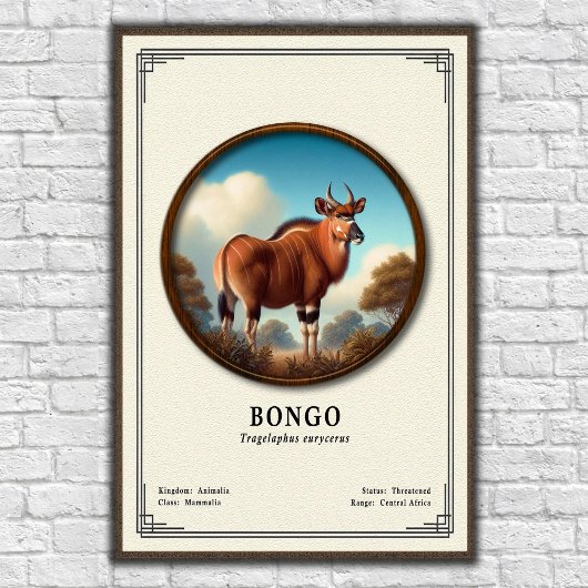 Bongo Zoölogie Serie Poster