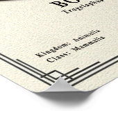 Bongo Zoölogie Serie Poster (Hoek)