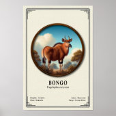 Bongo Zoölogie Serie Poster (Voorkant)