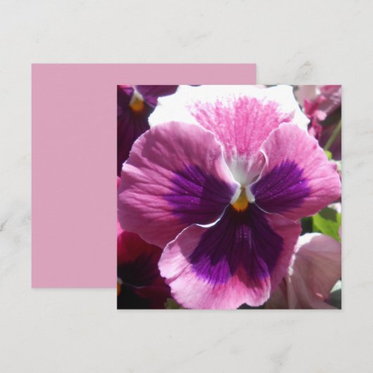 Bonheur (Voorkant / Achterkant)