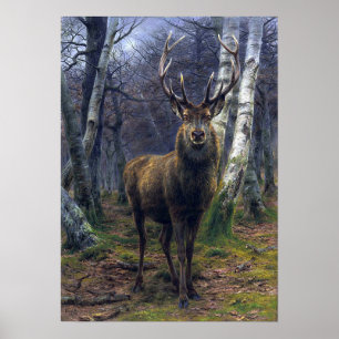 Bonheur - de koning van het bos poster