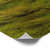 Bonheur - de vorst van de verpakking poster (Hoek)