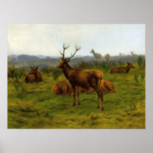 Bonheur - de vorst van de verpakking poster