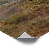 Bonheur - Ghillie Shetland ponies in een misty lan Poster (Hoek)