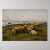 Bonheur - schapen van het Zee 1865 Poster (Voorkant)