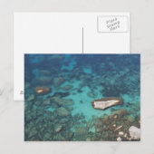 Bonifacio, Corsica, Frankrijk Briefkaart (Voorkant / Achterkant)