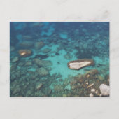 Bonifacio, Corsica, Frankrijk Briefkaart (Voorkant)