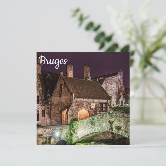 Bonifaciusbrug in Brugge (Staand voorkant)