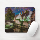 Bonifaciusbrug in Brugge Muismat (Met muis)