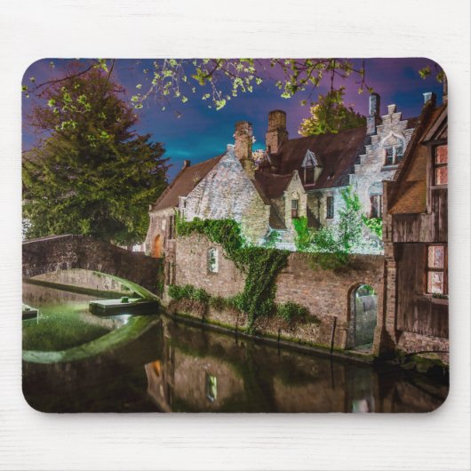 Bonifaciusbrug in Brugge Muismat (Voorkant)