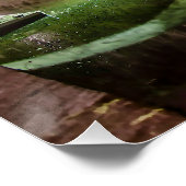 Bonifaciusbrug in Brugge Perfect Poster (Hoek)