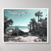 BONITA SPRINGS FLORIDA POSTER (Voorkant)