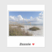 Bonita springs, florida sticker (Vel)