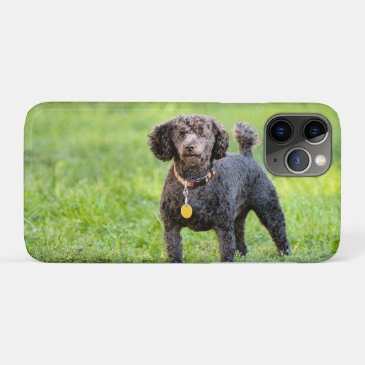 Bonjour Case-Mate iPhone Case (Achterkant (horizontaal))