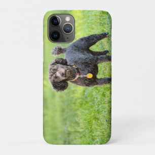 Bonjour Case-Mate iPhone Case