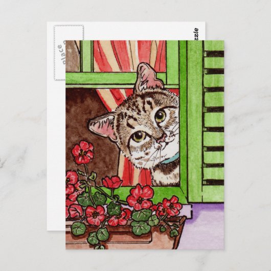 Bonjour cat briefkaart (Voorkant / Achterkant)