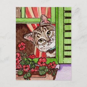 Bonjour cat briefkaart