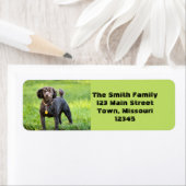 Bonjour Etiket (Insitu)