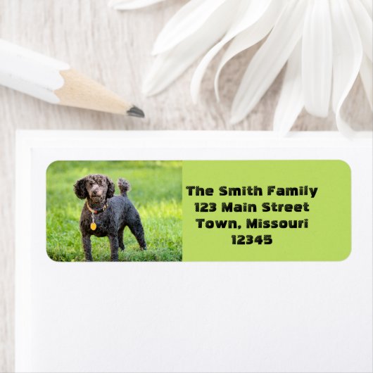 Bonjour Etiket (Insitu)