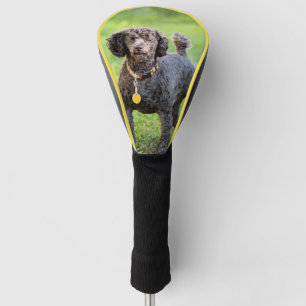 Bonjour Golfheadcover
