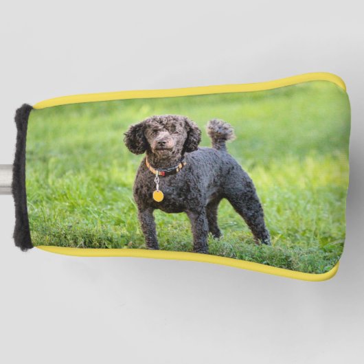 Bonjour golfhoofddeksel golfheadcover (Voorkant)