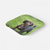 BonJour Papieren Bordje (Gebogen)