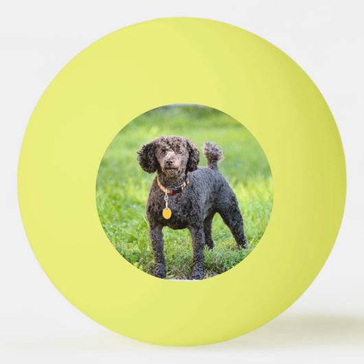 Bonjour Pingpongbal (Voorkant)