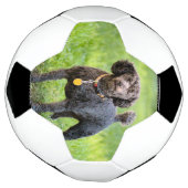 Bonjour Voetbal (Gedraaid)