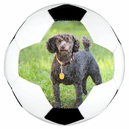 Bonjour Voetbal (Voorkant)