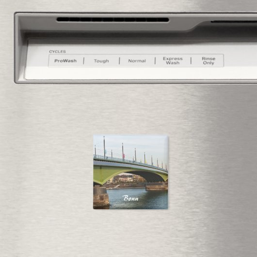 Bonn Magnet (Insitu (Vaatwasser))