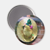 BONNET MAGNEET (Voorkant / Achterkant)