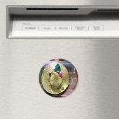 BONNET MAGNEET (Insitu (Vaatwasser))